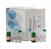 Real-Time PCR diagnostic kit – General nematode RT-N-D-GENS-50 reactions