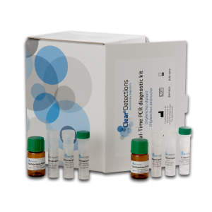 Real-Time PCR diagnostic kit Paratylenchus spp. RT-N-W-1801-100 reactions