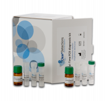 Real-Time PCR diagnostic kit - Diphterophoridae RT-N-W-0601-100 reactions