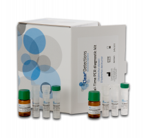 Real-Time PCR diagnostic kit - Dorylaimida D2 RT-N-W-0802-50 reactions