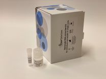 Nematode DNA extraction kit for individual nematodes & single cysts EX-N-B-SNDE-100 reactions